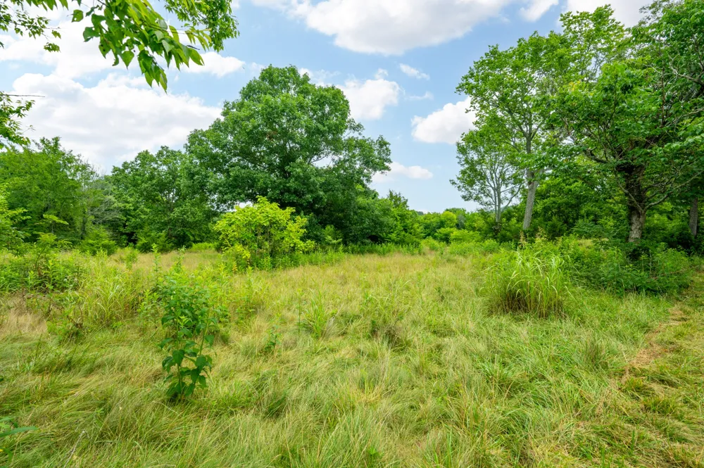 0 Haley Rd Watertown, TN 37184