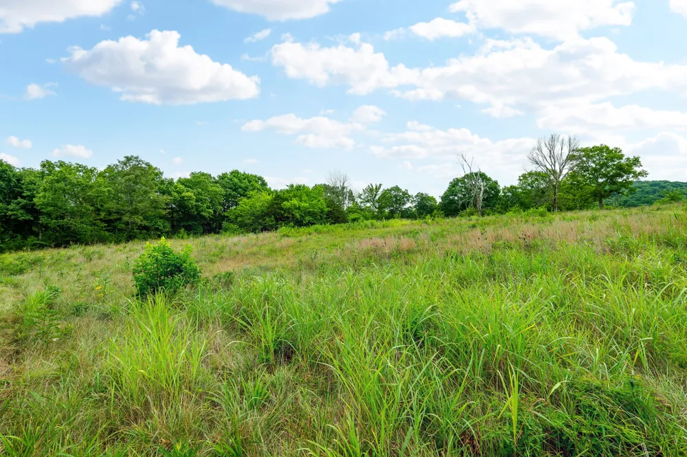 0 Haley Rd Watertown, TN 37184