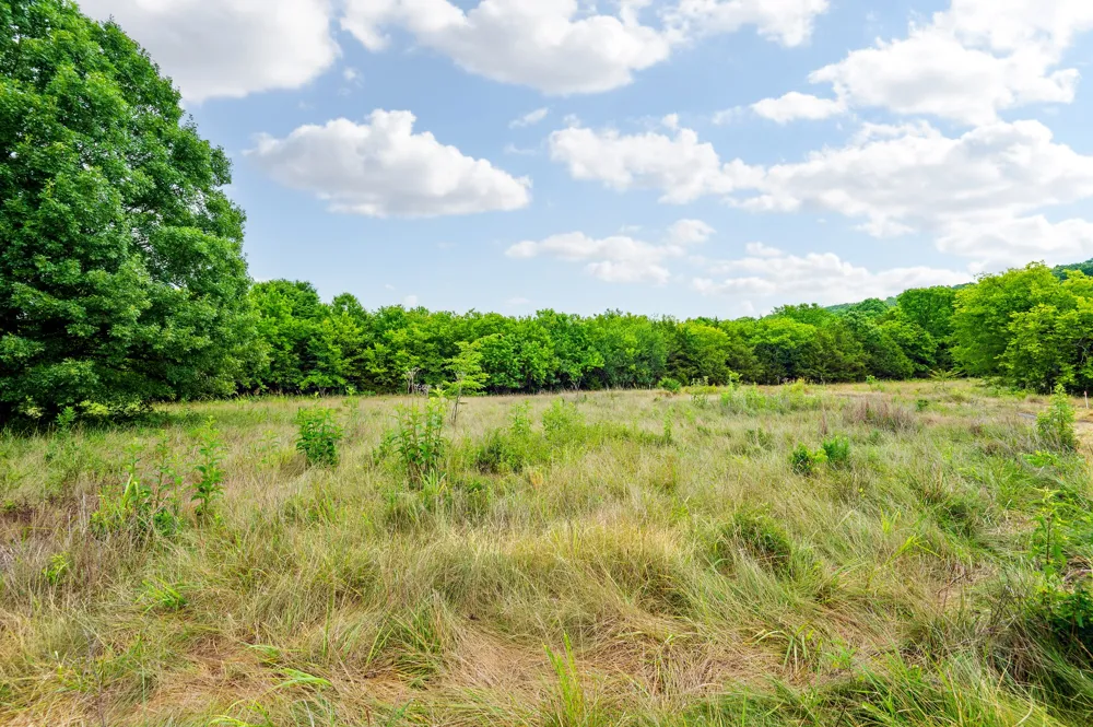 0 Haley Rd Watertown, TN 37184