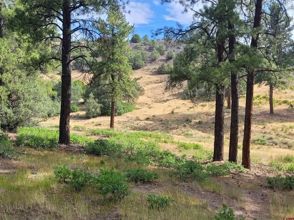 838 Quien Sabe Street Pagosa Springs, CO 81147