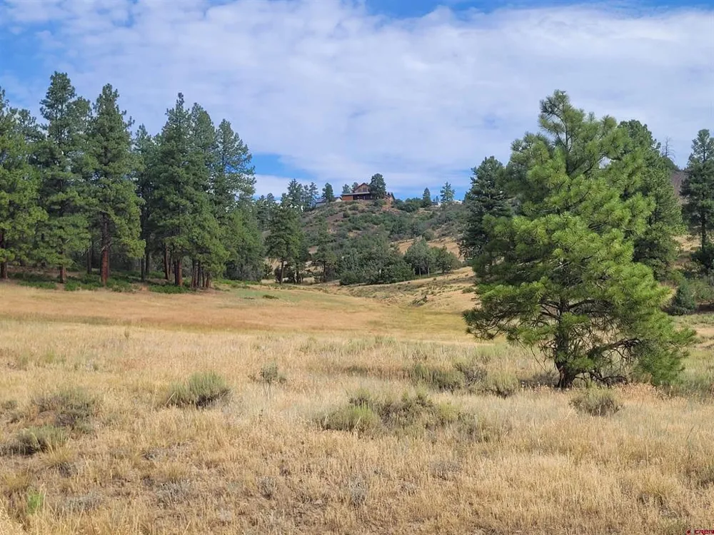 838 Quien Sabe Street Pagosa Springs, CO 81147