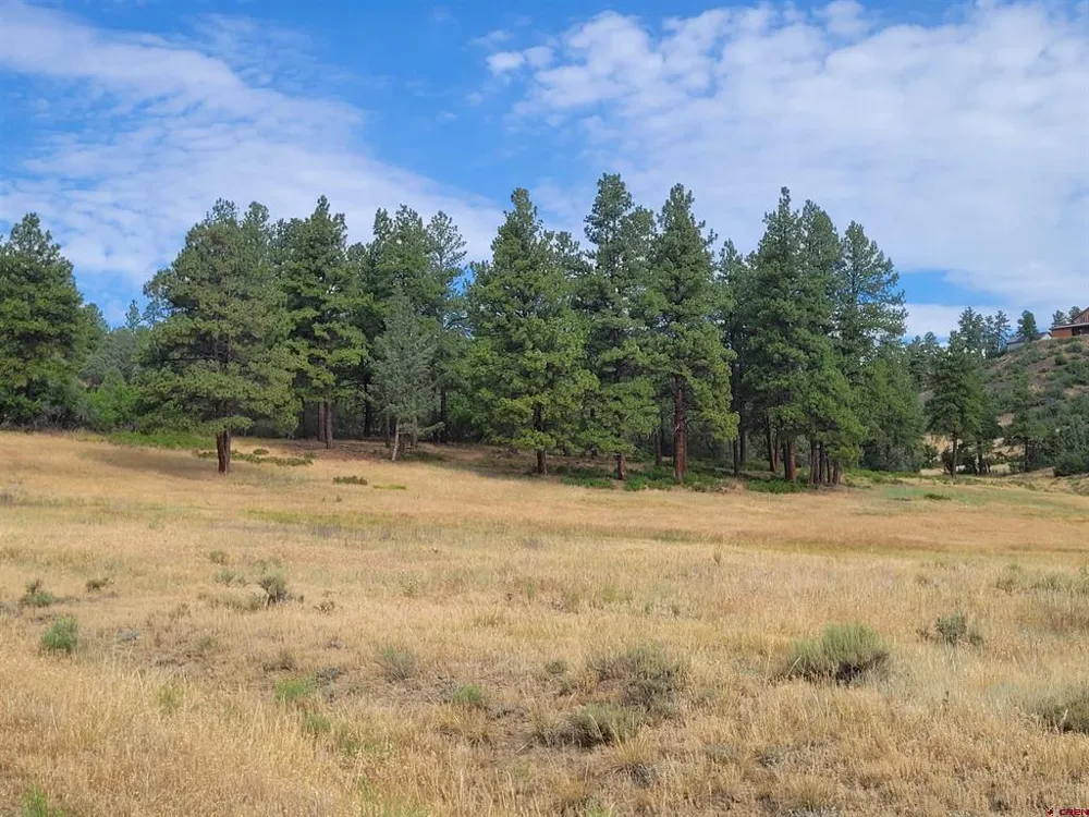 838 Quien Sabe Street Pagosa Springs, CO 81147