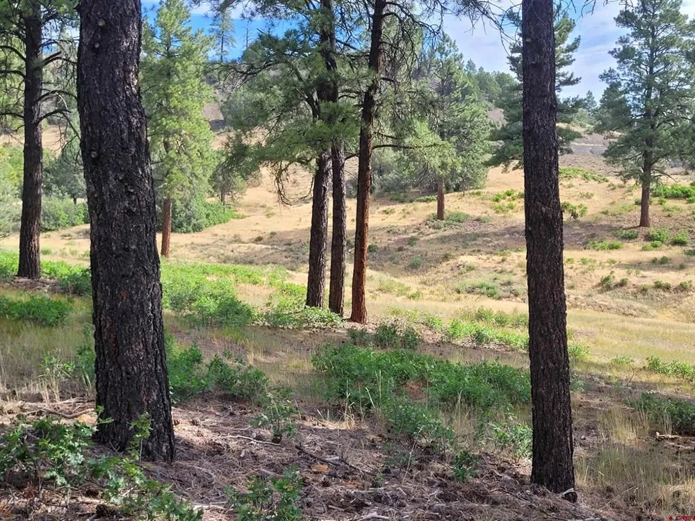 838 Quien Sabe Street Pagosa Springs, CO 81147