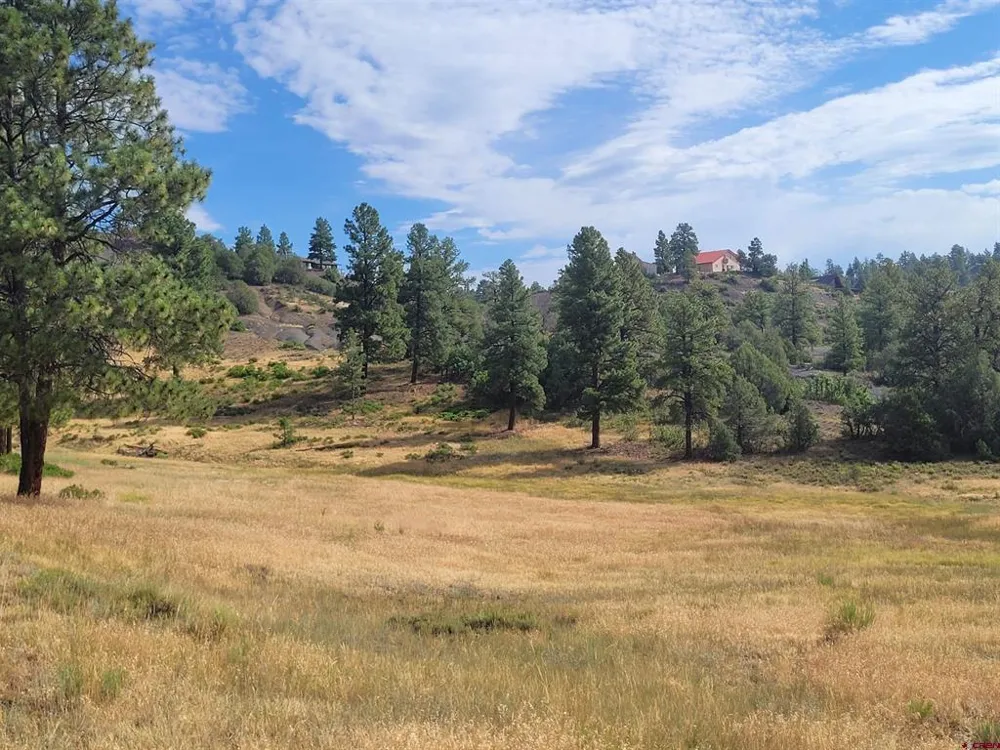 838 Quien Sabe Street Pagosa Springs, CO 81147