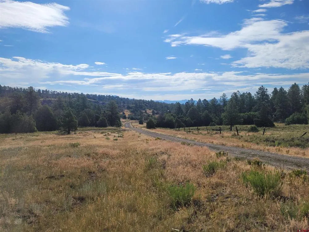 838 Quien Sabe Street Pagosa Springs, CO 81147