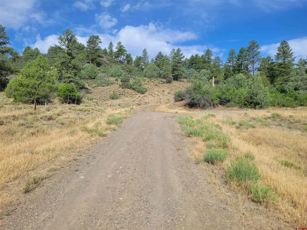 838 Quien Sabe Street Pagosa Springs, CO 81147