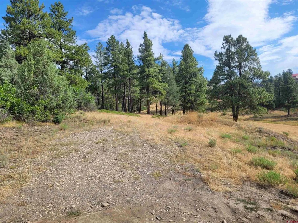 838 Quien Sabe Street Pagosa Springs, CO 81147