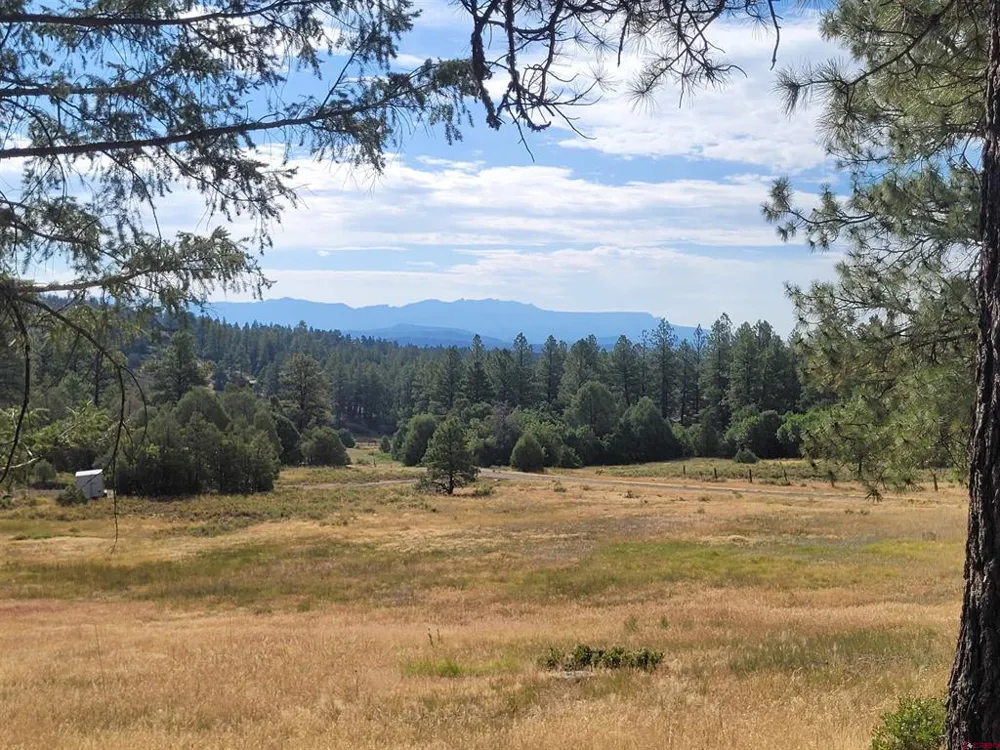 838 Quien Sabe Street Pagosa Springs, CO 81147