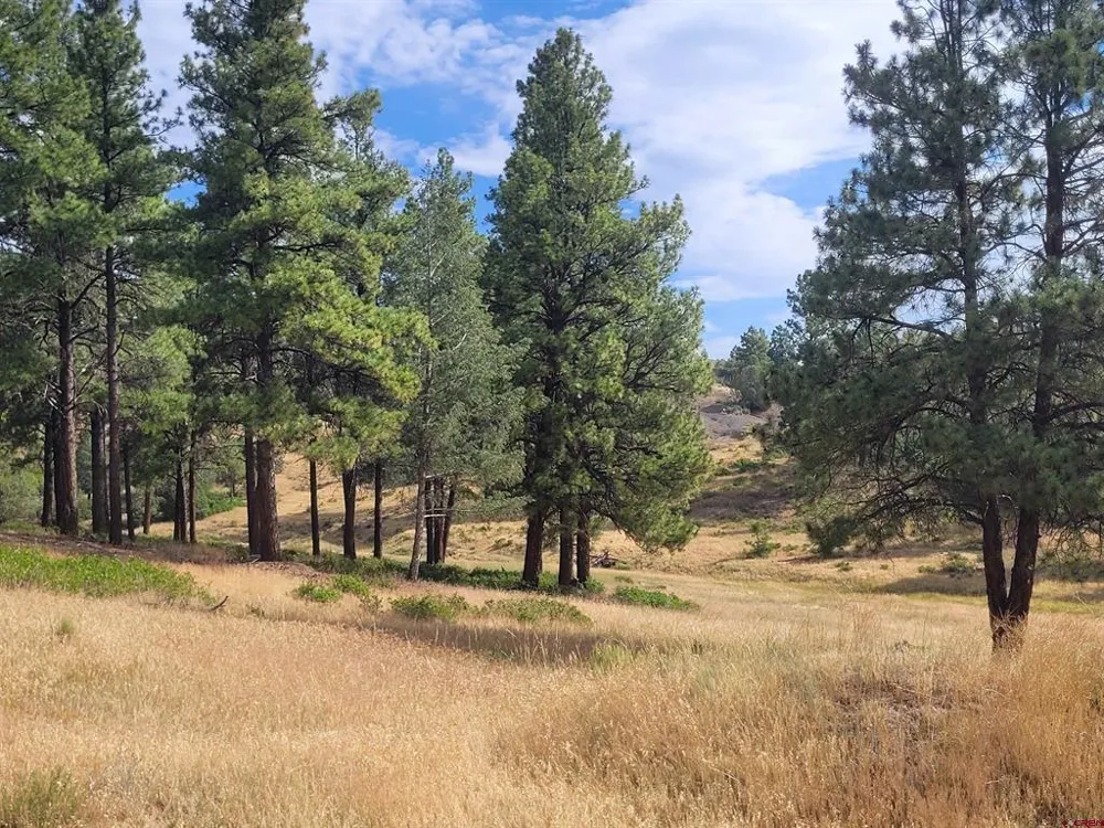 838 Quien Sabe Street Pagosa Springs, CO 81147