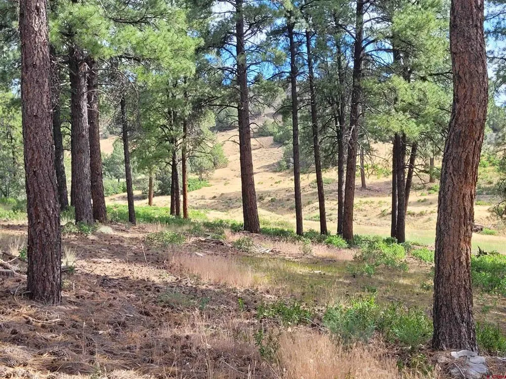 838 Quien Sabe Street Pagosa Springs, CO 81147
