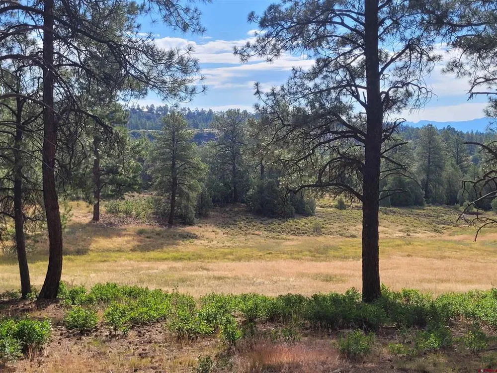 838 Quien Sabe Street Pagosa Springs, CO 81147