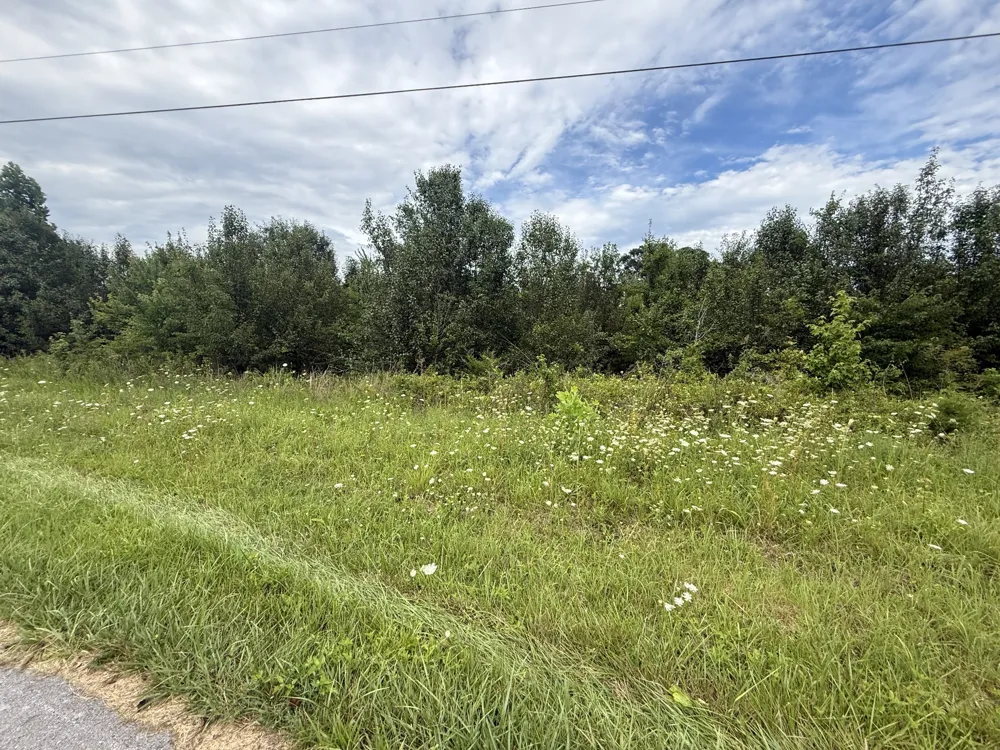 0 Brook Dr Sparta, TN 38583