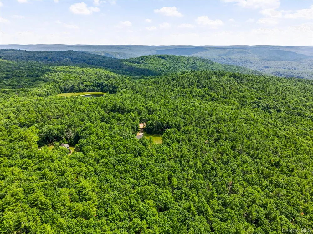 142 Split Rock Drive Barryville, NY 12719