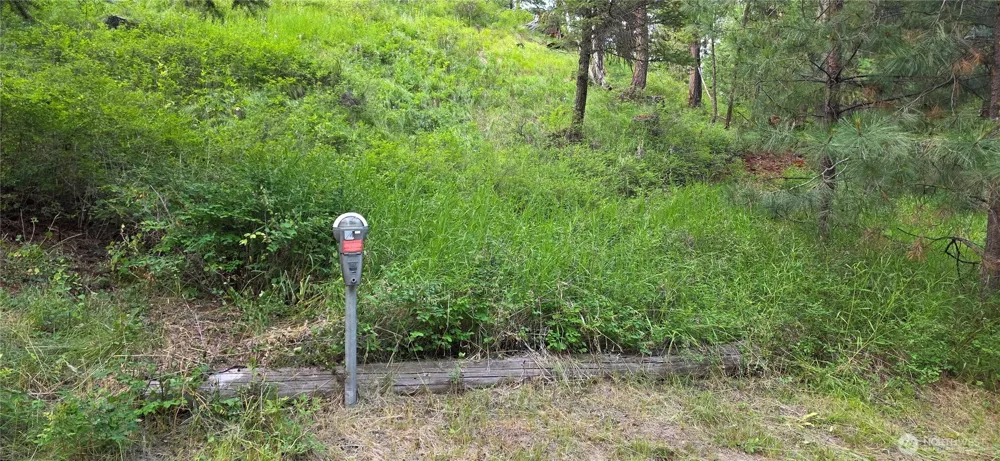 111 TBD Amanda Rd Oroville, WA 98270