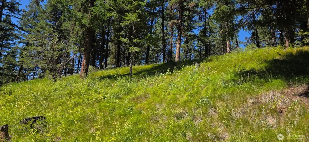 111 TBD Amanda Rd Oroville, WA 98270