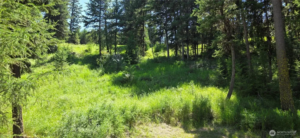 111 TBD Amanda Rd Oroville, WA 98270