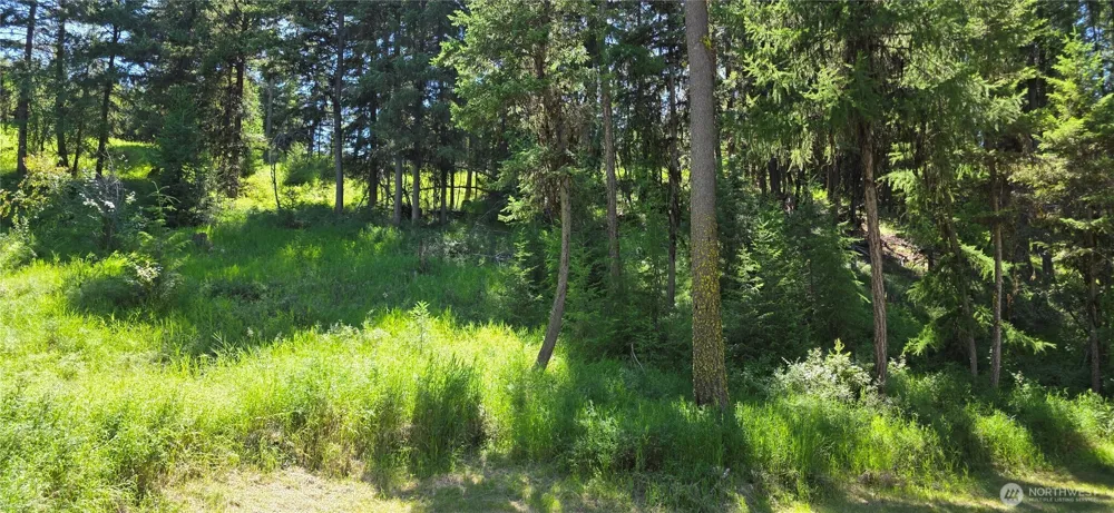 111 TBD Amanda Rd Oroville, WA 98270