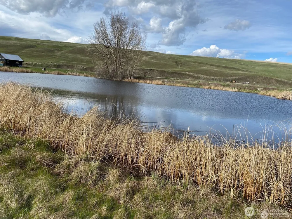 111 TBD Amanda Rd Oroville, WA 98270