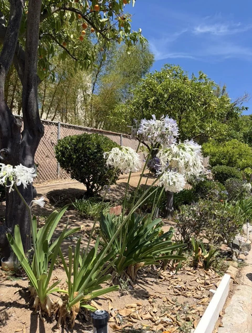 1154 Monte Vista Dr Vista, CA 92084