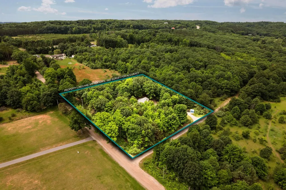 1955 Laurel Lane Gilmore Township, MI 49635