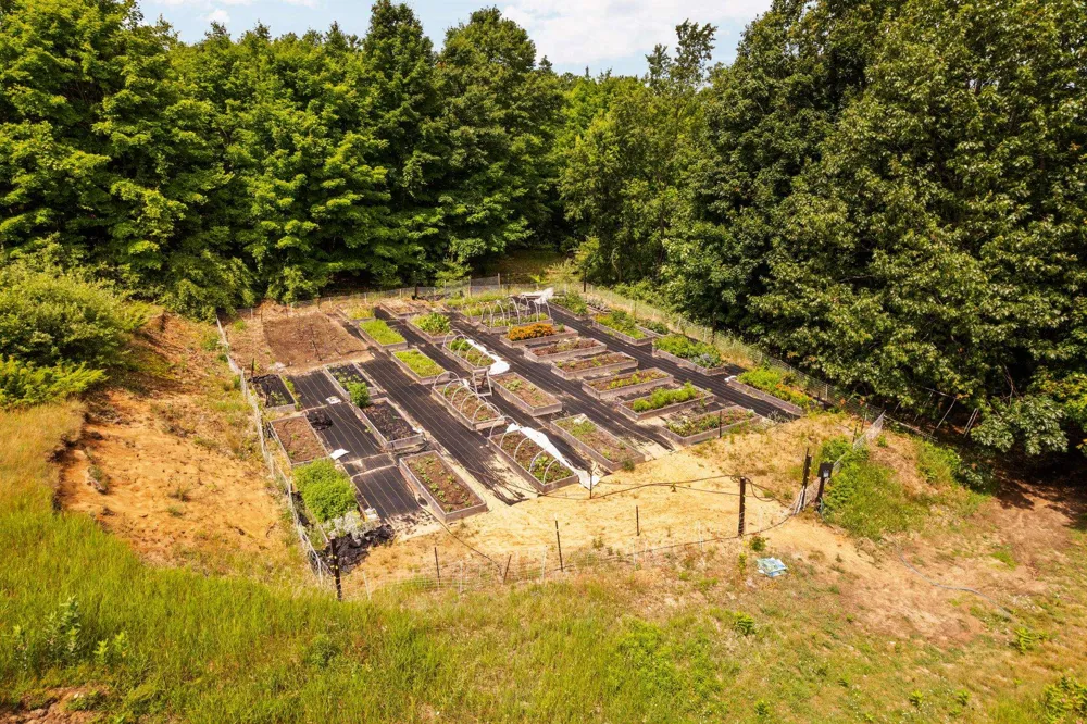 1955 Laurel Lane Gilmore Township, MI 49635