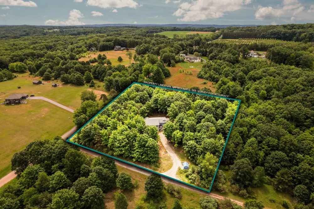 1955 Laurel Lane Gilmore Township, MI 49635
