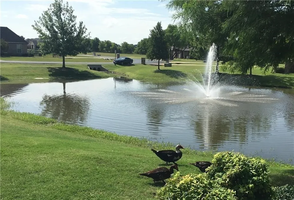 Lakeview Drive McKinney, TX 75071