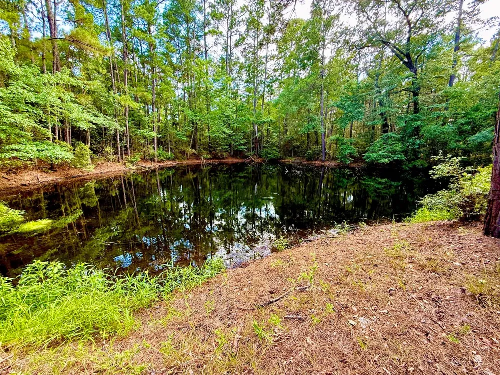 Cr 4740 Kennard, TX 75847