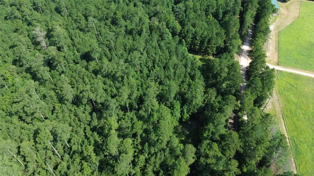 Cr 4740 Kennard, TX 75847
