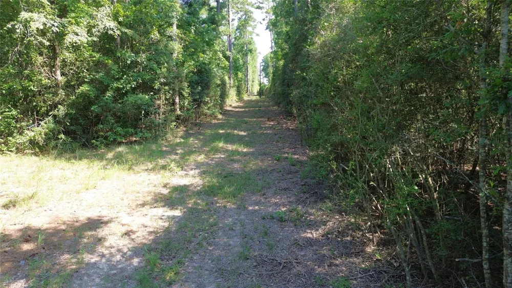 Cr 4740 Kennard, TX 75847