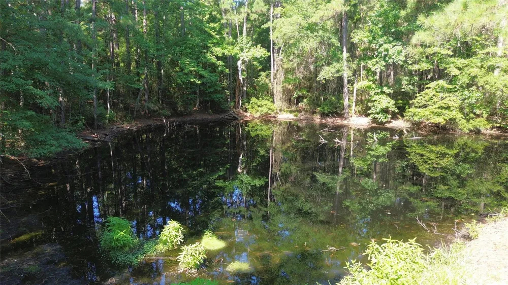 Cr 4740 Kennard, TX 75847