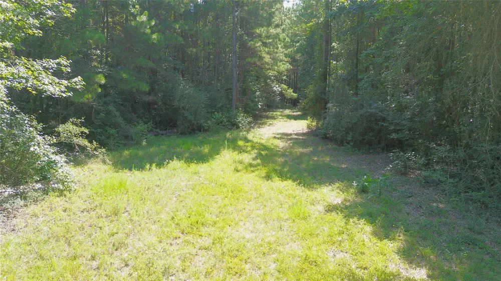 Cr 4740 Kennard, TX 75847