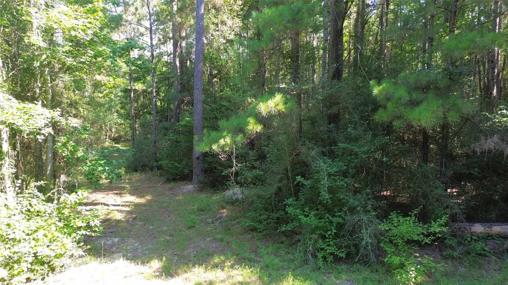 Cr 4740 Kennard, TX 75847