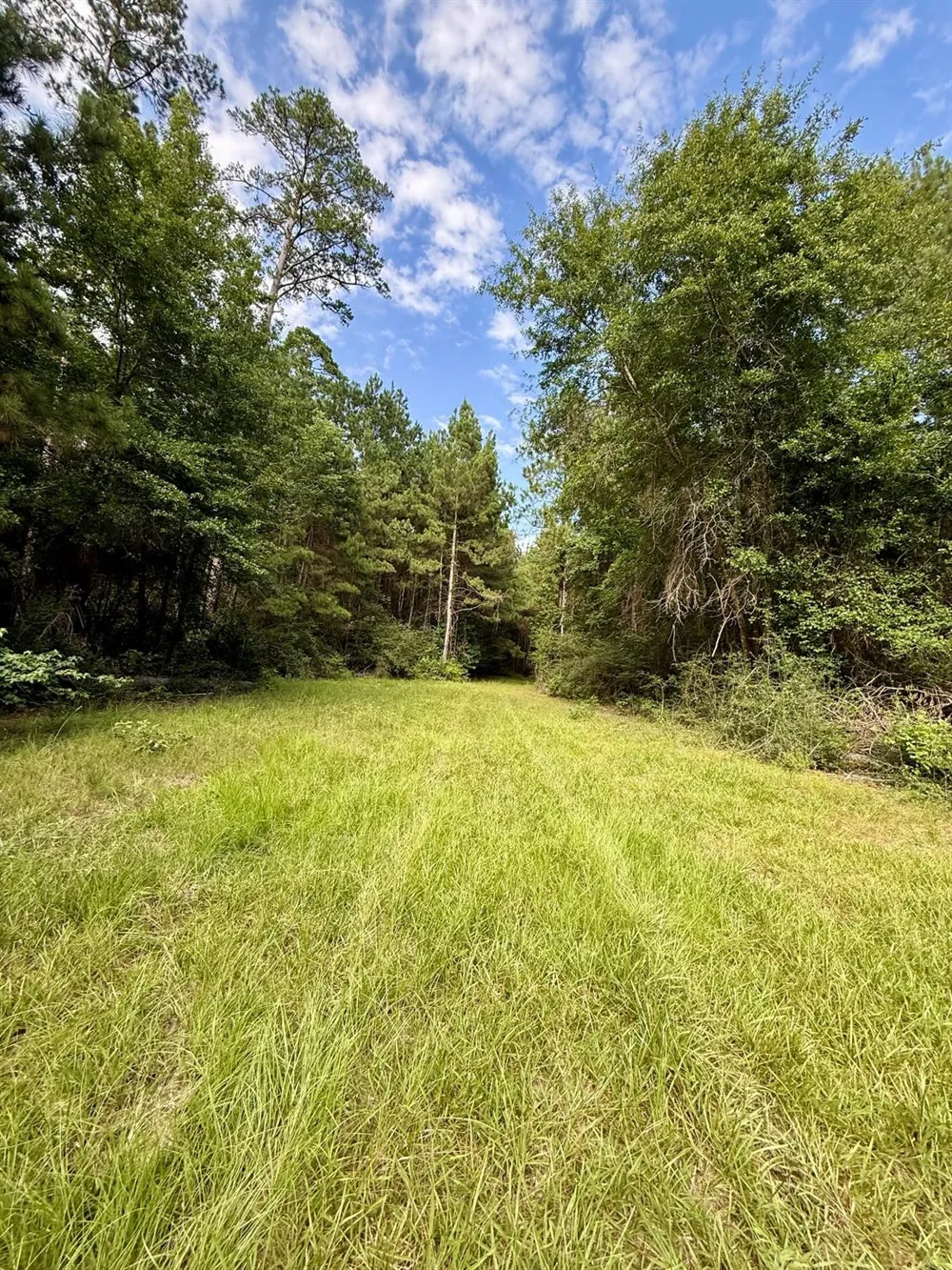 Cr 4740 Kennard, TX 75847
