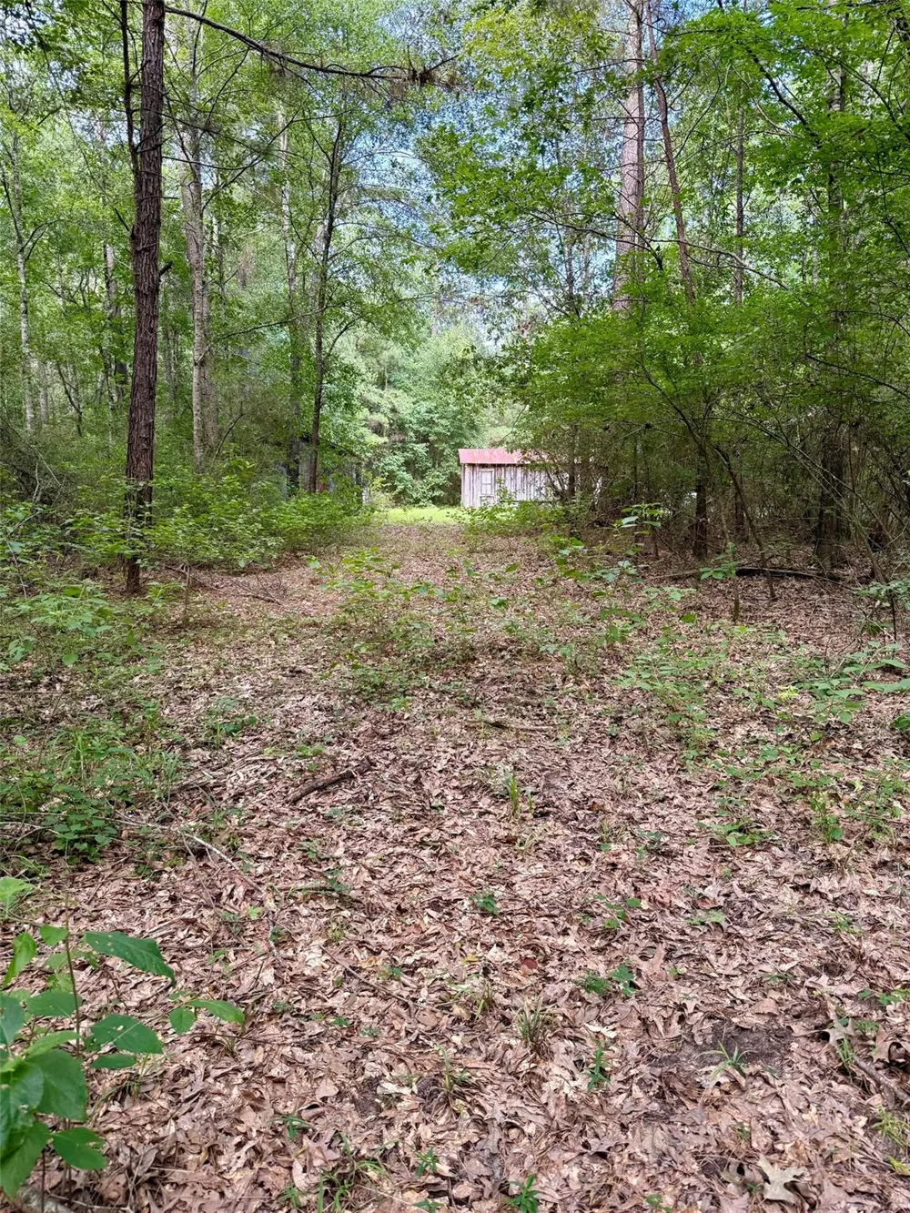 Cr 4740 Kennard, TX 75847