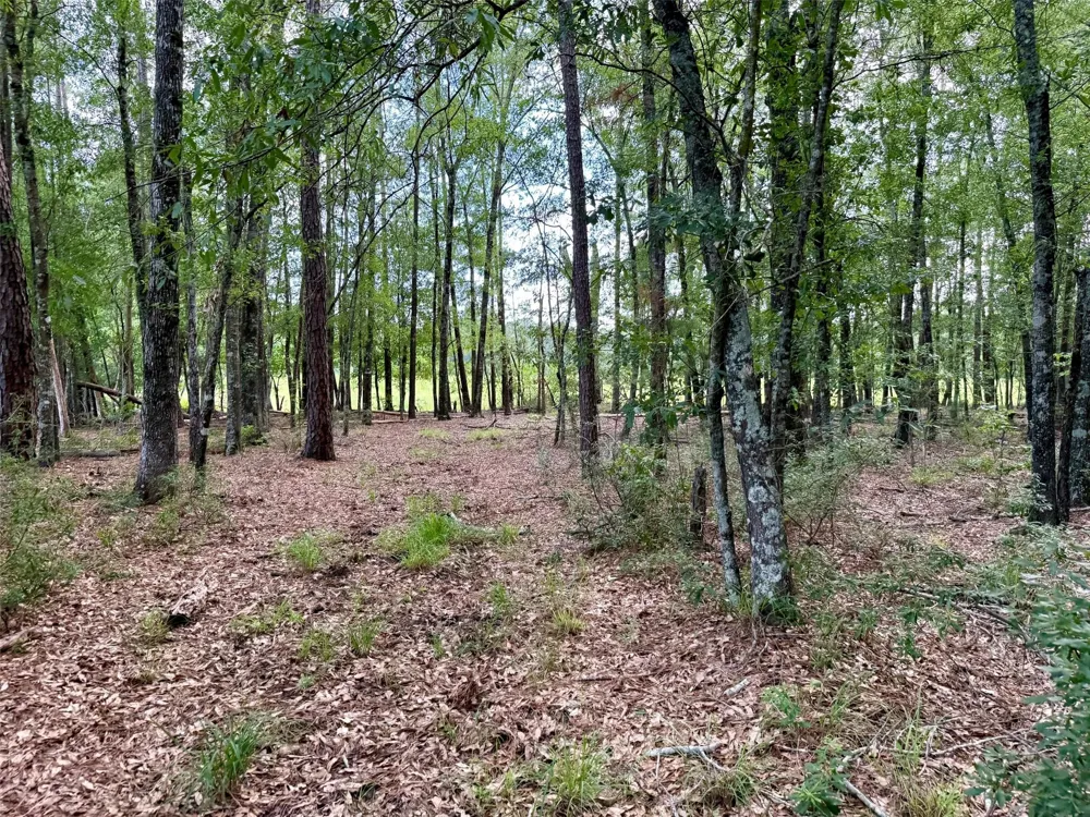 Cr 4740 Kennard, TX 75847