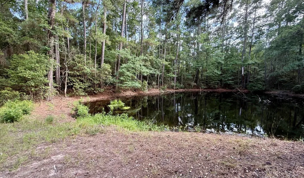 Cr 4740 Kennard, TX 75847
