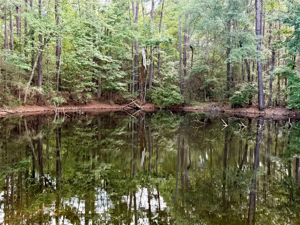 Cr 4740 Kennard, TX 75847
