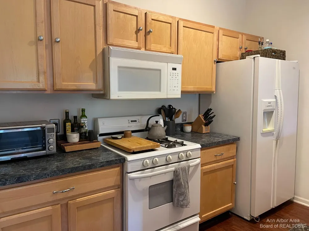 1085 Joyce Lane Scio Township, MI 48103