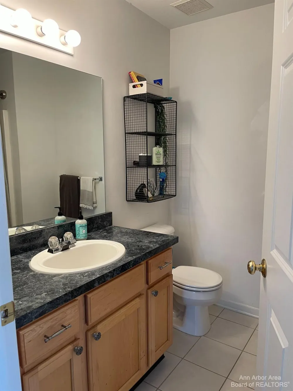 1085 Joyce Lane Scio Township, MI 48103