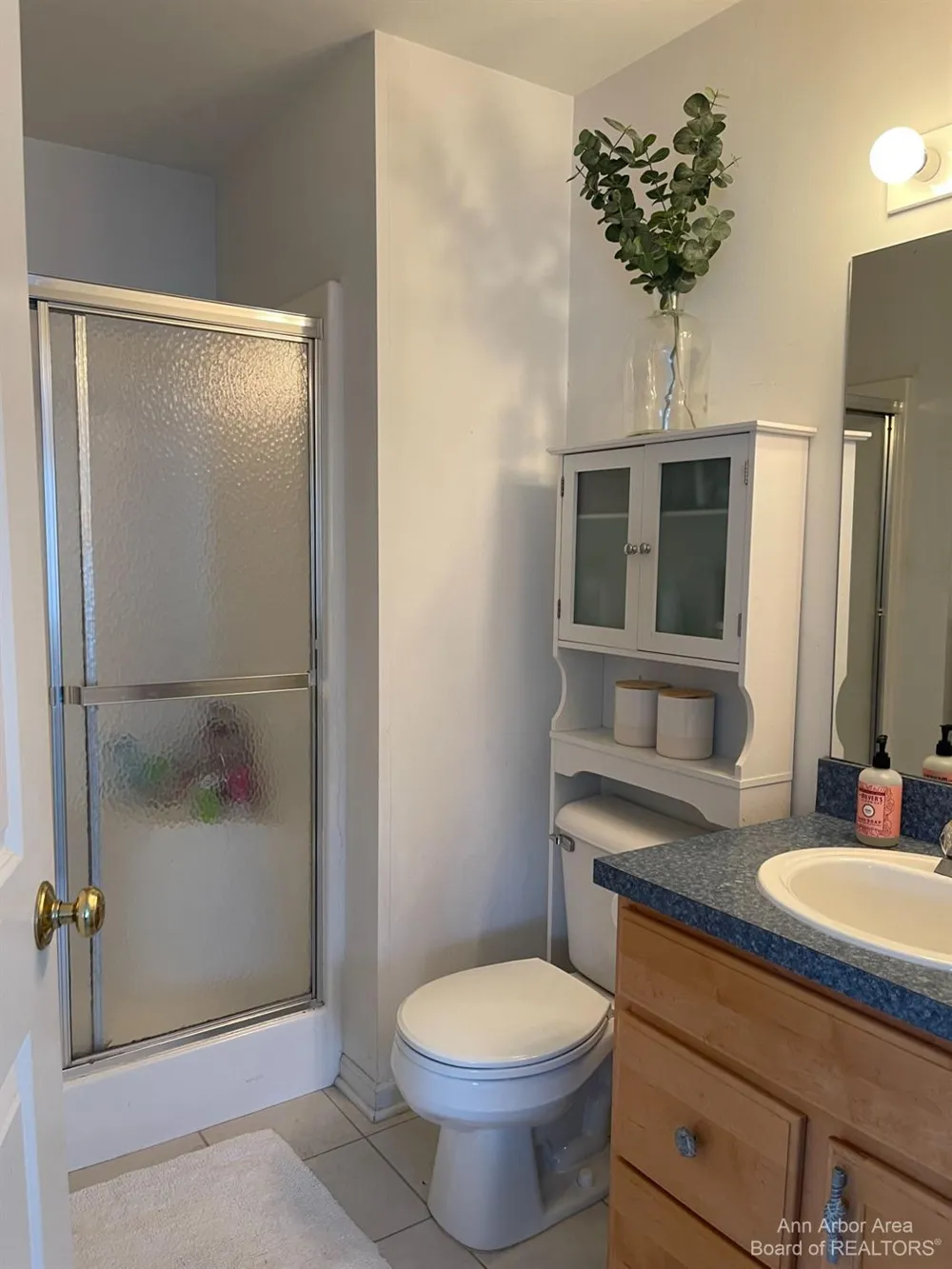 1085 Joyce Lane Scio Township, MI 48103