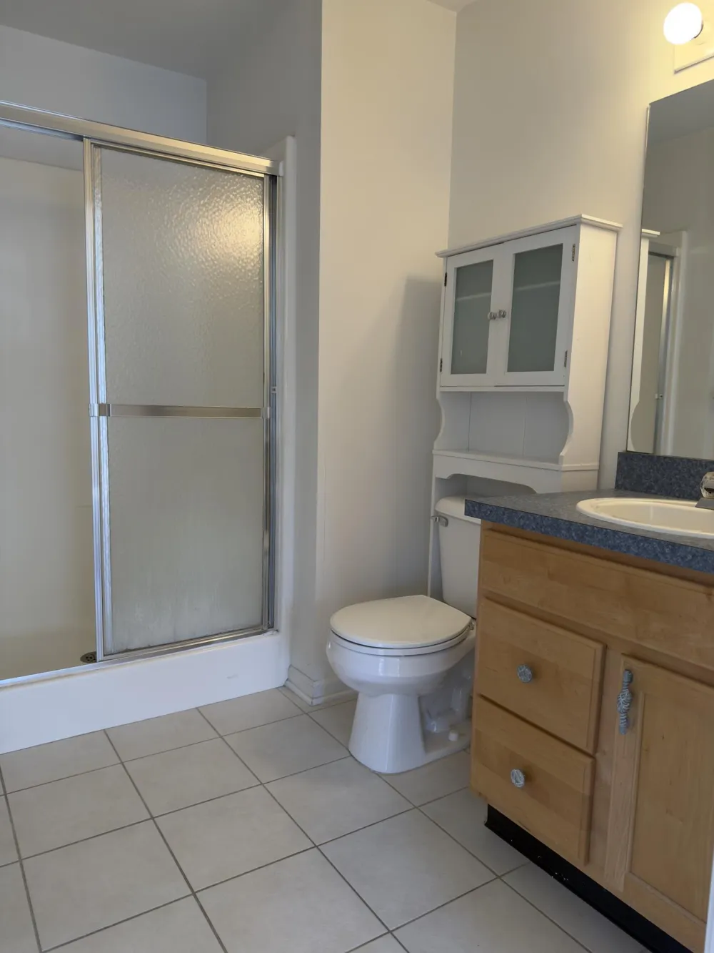 1085 Joyce Lane Scio Township, MI 48103