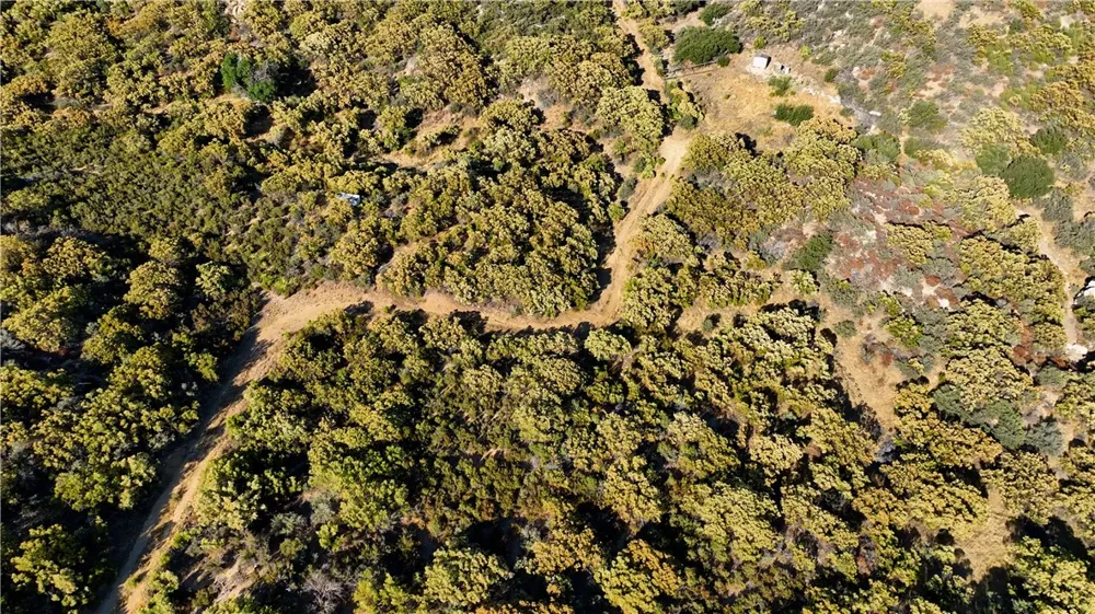 11 Cooper Cienega Truck Trail Anza, CA 92539