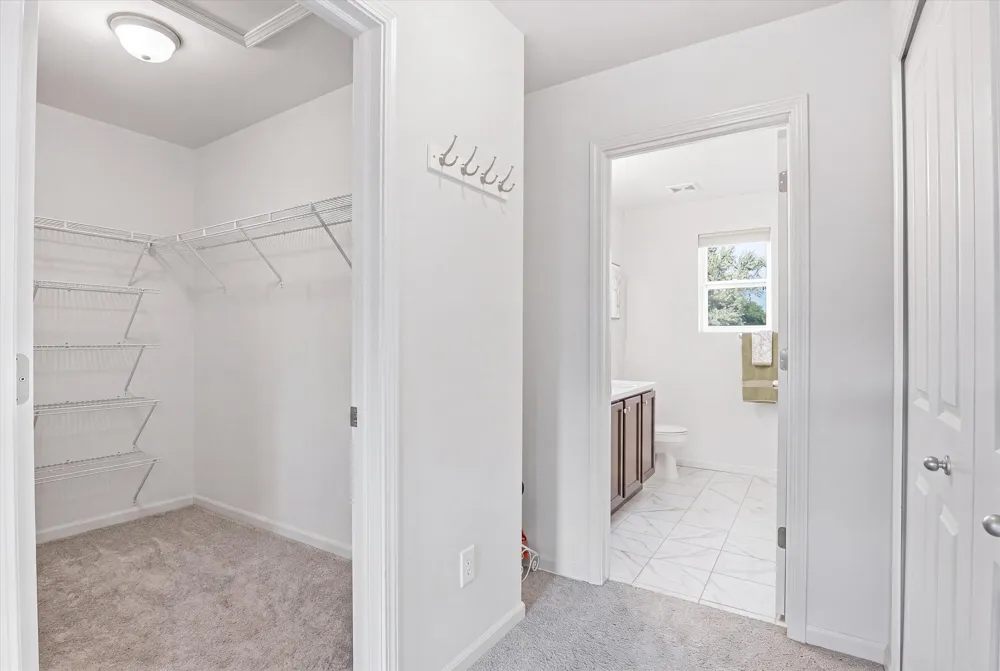 14456 Josephine Court Livonia, MI 48154