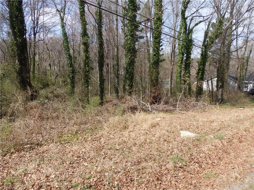 0 Chestnut Street Asheboro, NC 27203
