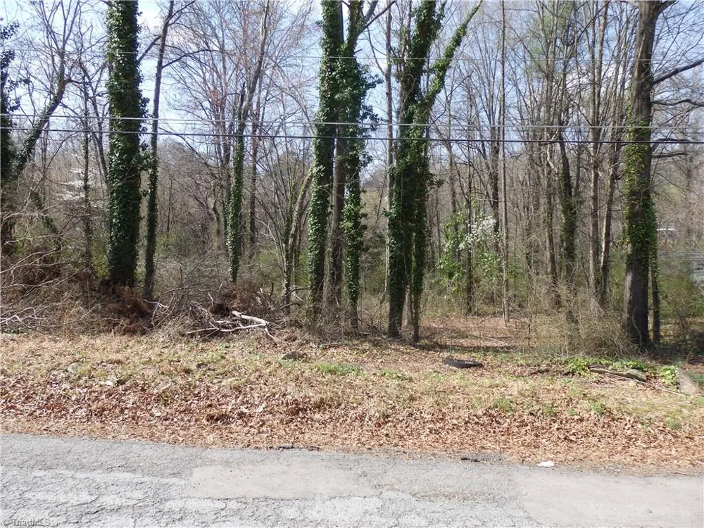 0 Chestnut Street Asheboro, NC 27203