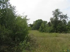 507 County Road 405 Route Buckholts, TX 76518