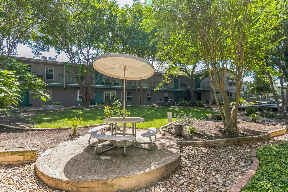 300 Crockett Street #210 Austin, TX 78704