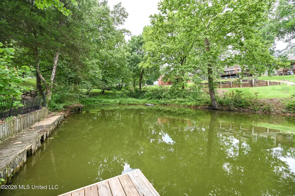 2401 Placid Cove Nesbit, MS 38651
