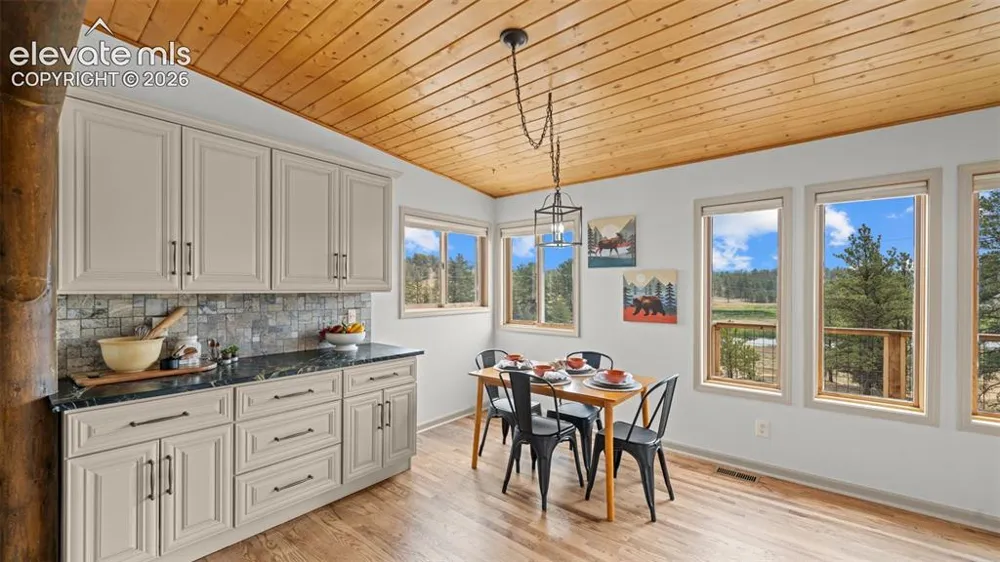 925 Midland Court Lake George, CO 80827